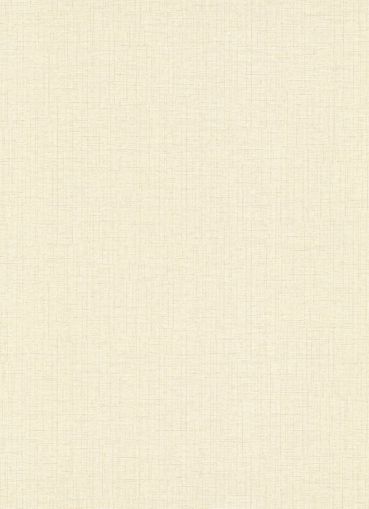 www.construbiz.com